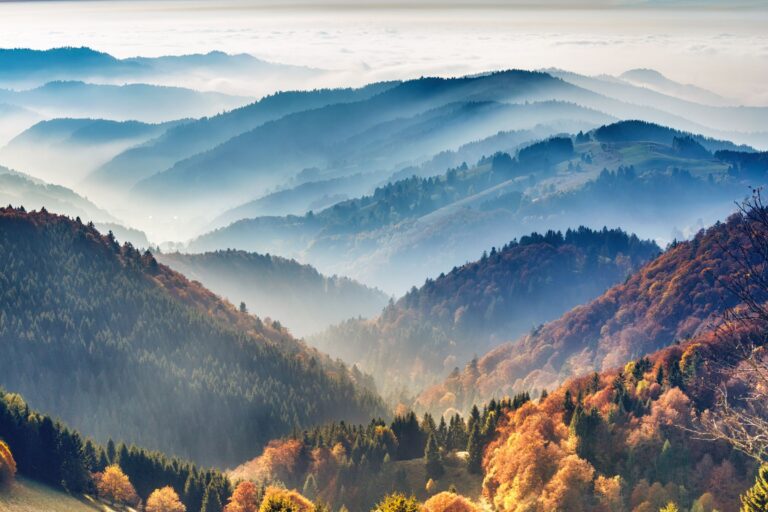 Kuckucksuhr und Reben: Wandermärchen im Nordschwarzwald